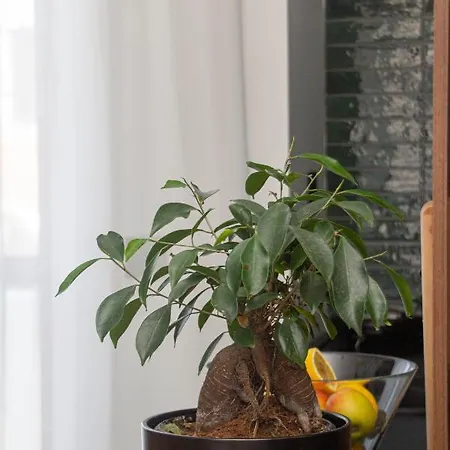 Apartamento Artisan's Dwelling Belgrado
