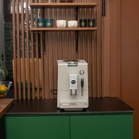 Artisan's Dwelling 公寓 贝尔格莱德